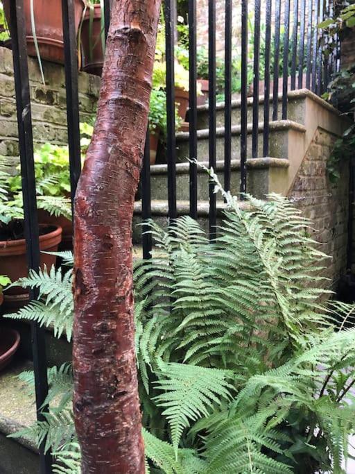Willa Kings Cross, Self-Contained House & Private Garden Londyn Zewnętrze zdjęcie
